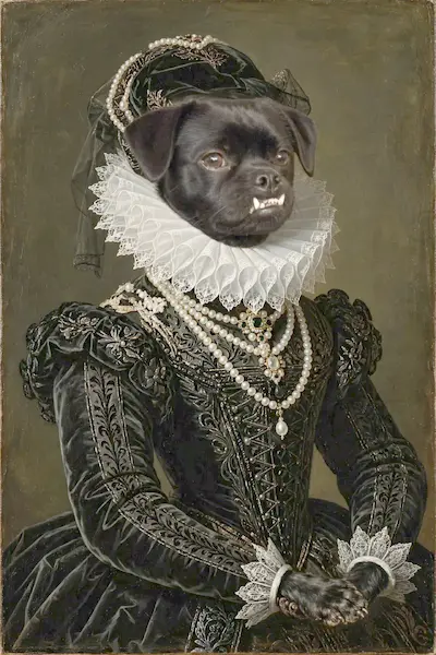 Elizabethan Lady